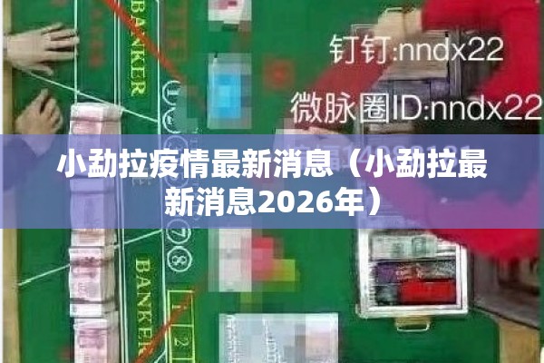 小勐拉疫情最新消息(小勐拉最新消息2026年) 小勐拉疫情最新消息(小勐拉最新消息2026年)
