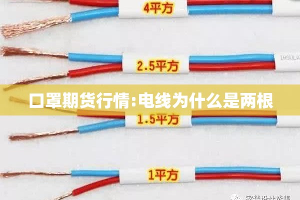 口罩期货行情:电线为什么是两根