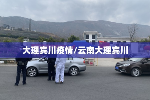 大理宾川疫情/云南大理宾川