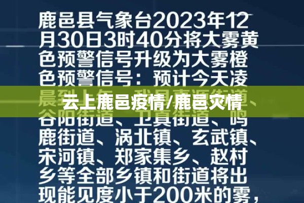 云上鹿邑疫情/鹿邑灾情 云上鹿邑疫情/鹿邑灾情