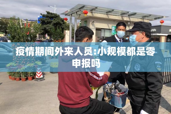 疫情期间外来人员:小规模都是零申报吗