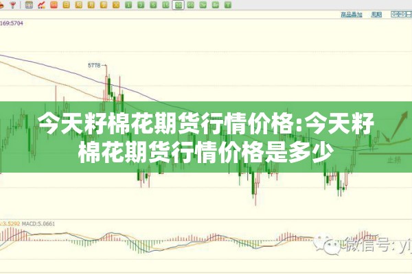 今天籽棉花期货行情价格:今天籽棉花期货行情价格是多少 今天籽棉花期货行情价格:今天籽棉花期货行情价格是多少