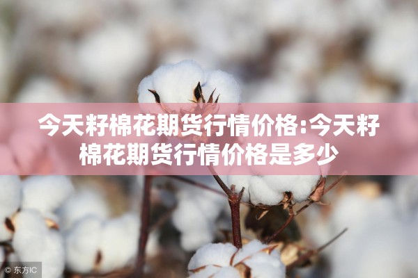 今天籽棉花期货行情价格:今天籽棉花期货行情价格是多少 今天籽棉花期货行情价格:今天籽棉花期货行情价格是多少