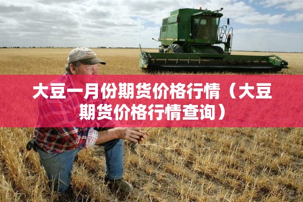 大豆一月份期货价格行情（大豆期货价格行情查询）