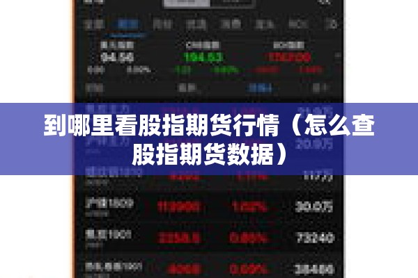 到哪里看股指期货行情（怎么查股指期货数据）