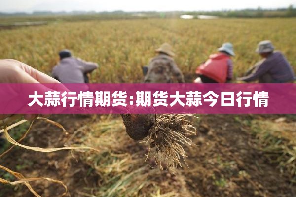 大蒜行情期货:期货大蒜今日行情