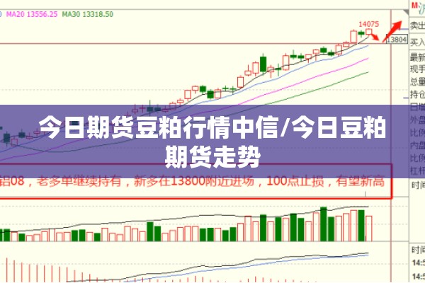 今日期货豆粕行情中信/今日豆粕期货走势 今日期货豆粕行情中信/今日豆粕期货走势