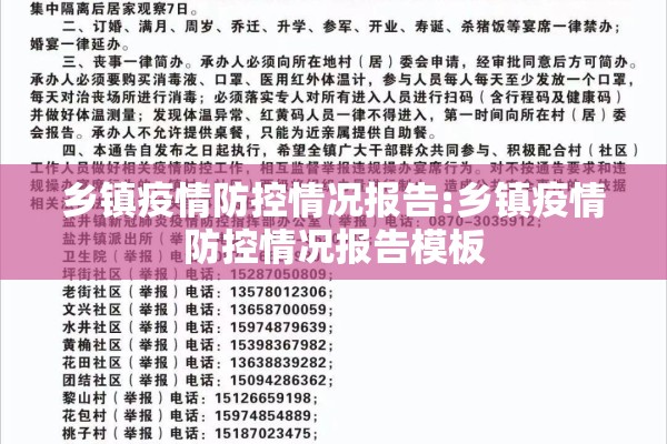 乡镇疫情防控情况报告:乡镇疫情防控情况报告模板