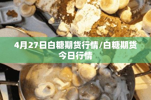 4月27日白糖期货行情/白糖期货今日行情 4月27日白糖期货行情/白糖期货今日行情