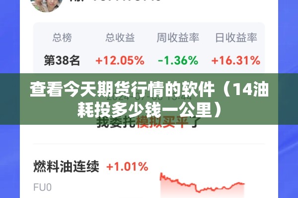 查看今天期货行情的软件（14油耗投多少钱一公里）
