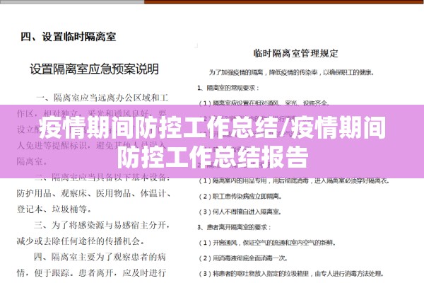 疫情期间防控工作总结/疫情期间防控工作总结报告