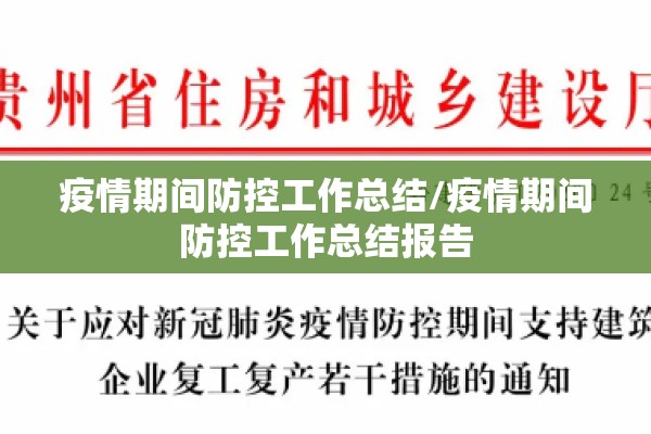 疫情期间防控工作总结/疫情期间防控工作总结报告