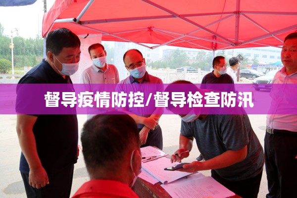 督导疫情防控/督导检查防汛 督导疫情防控/督导检查防汛