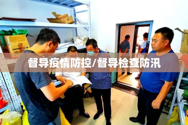 督导疫情防控/督导检查防汛 督导疫情防控/督导检查防汛