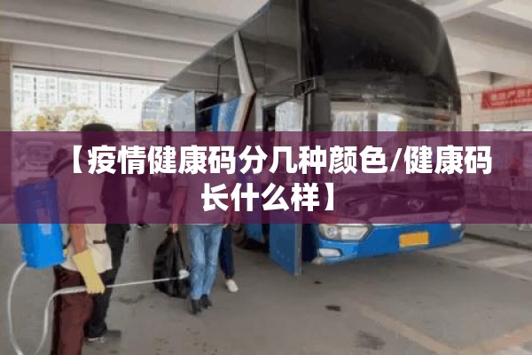 【疫情健康码分几种颜色/健康码长什么样】