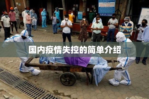 国内疫情失控的简单介绍