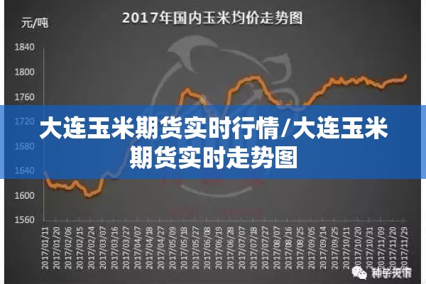 大连玉米期货实时行情/大连玉米期货实时走势图