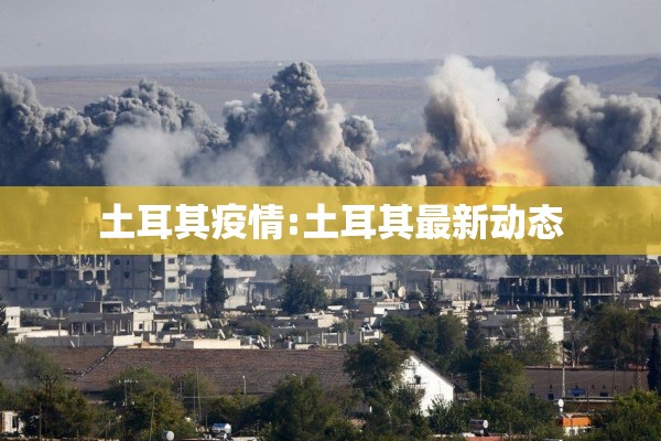 土耳其疫情:土耳其最新动态 土耳其疫情:土耳其最新动态