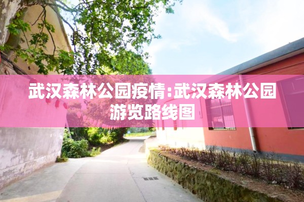 武汉森林公园疫情:武汉森林公园游览路线图