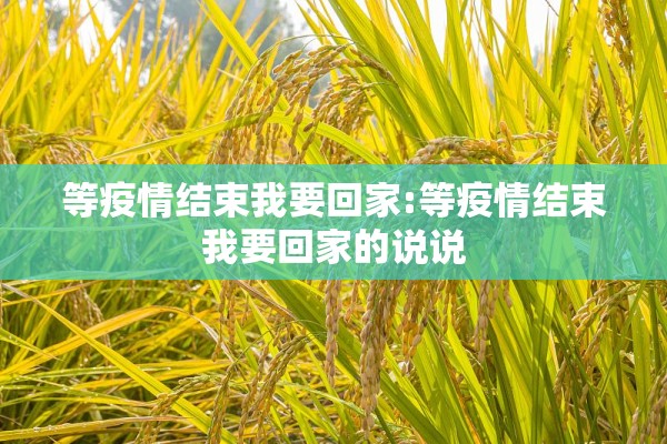 等疫情结束我要回家:等疫情结束我要回家的说说