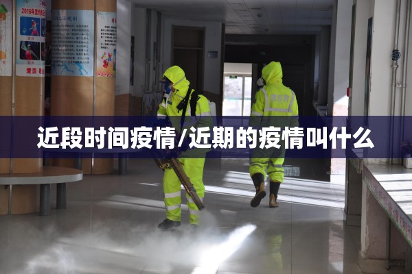 近段时间疫情/近期的疫情叫什么