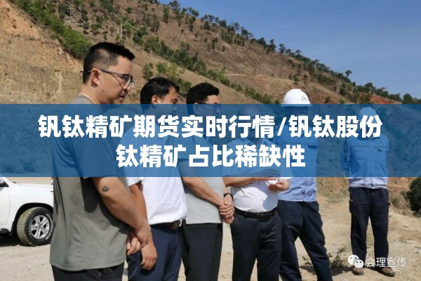 钒钛精矿期货实时行情/钒钛股份钛精矿占比稀缺性