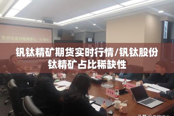 钒钛精矿期货实时行情/钒钛股份钛精矿占比稀缺性
