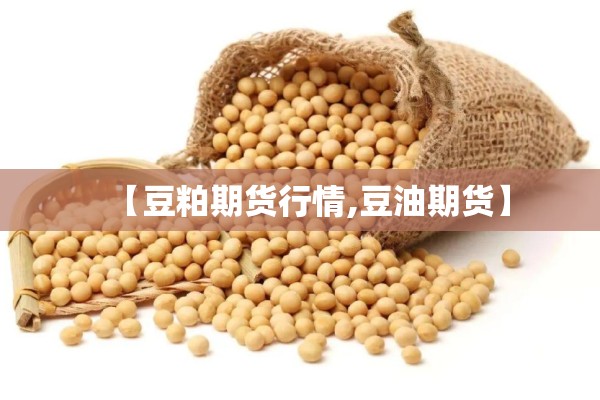 【豆粕期货行情,豆油期货】