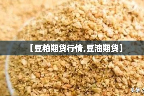 【豆粕期货行情,豆油期货】