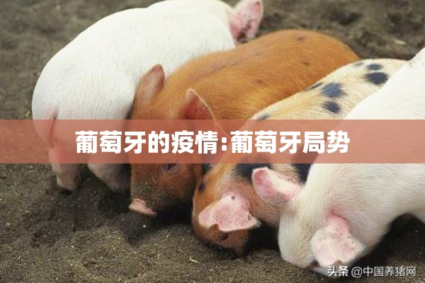 葡萄牙的疫情:葡萄牙局势 葡萄牙的疫情:葡萄牙局势
