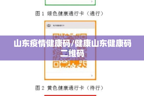 山东疫情健康码/健康山东健康码二维码
