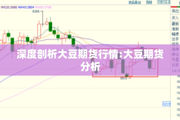 深度剖析大豆期货行情:大豆期货分析