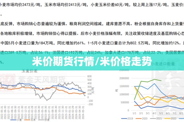 米价期货行情/米价格走势