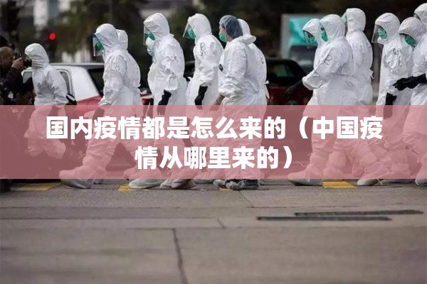 国内疫情都是怎么来的（中国疫情从哪里来的）