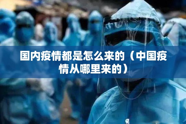 国内疫情都是怎么来的（中国疫情从哪里来的）
