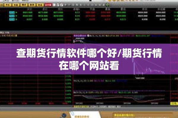 查期货行情软件哪个好/期货行情在哪个网站看