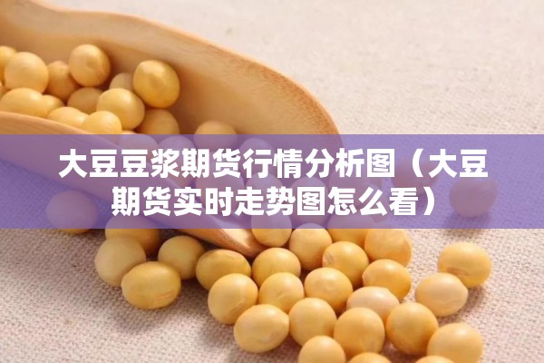 大豆豆浆期货行情分析图（大豆期货实时走势图怎么看）