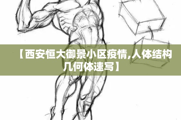 【西安恒大御景小区疫情,人体结构几何体速写】 【西安恒大御景小区疫情,人体结构几何体速写】