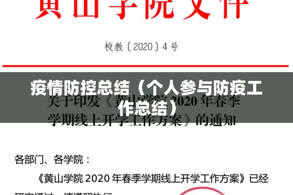 疫情防控总结（个人参与防疫工作总结）