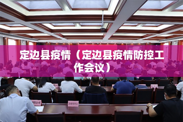 定边县疫情（定边县疫情防控工作会议）