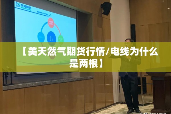 【美天然气期货行情/电线为什么是两根】