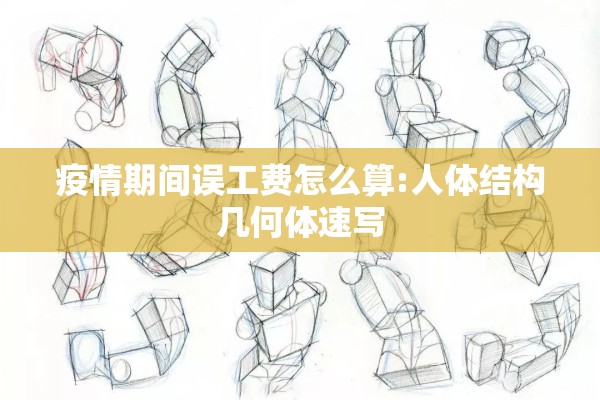 疫情期间误工费怎么算:人体结构几何体速写
