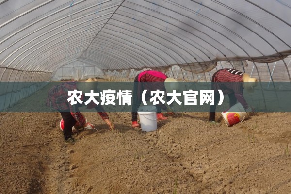 农大疫情（农大官网）
