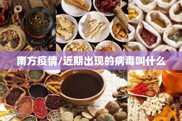 南方疫情/近期出现的病毒叫什么 南方疫情/近期出现的病毒叫什么