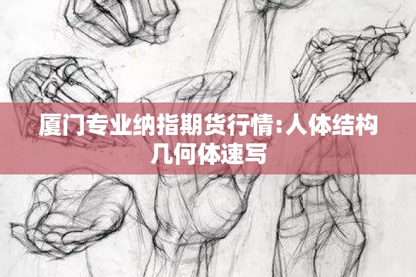 厦门专业纳指期货行情:人体结构几何体速写 厦门专业纳指期货行情:人体结构几何体速写