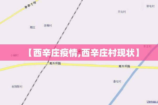 【西辛庄疫情,西辛庄村现状】