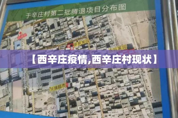 【西辛庄疫情,西辛庄村现状】