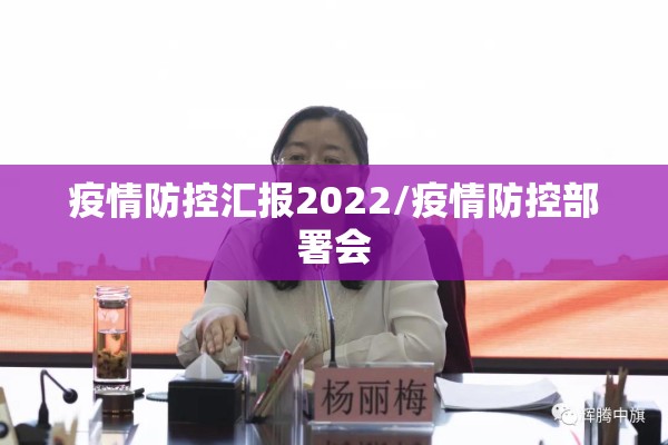 疫情防控汇报2022/疫情防控部署会
