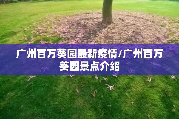 广州百万葵园最新疫情/广州百万葵园景点介绍 广州百万葵园最新疫情/广州百万葵园景点介绍