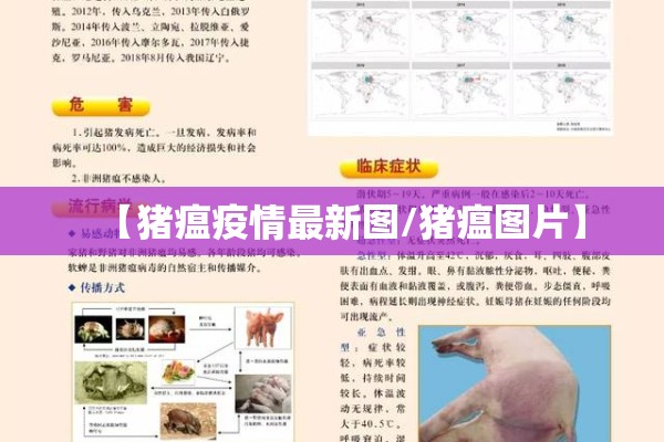 【猪瘟疫情最新图/猪瘟图片】
